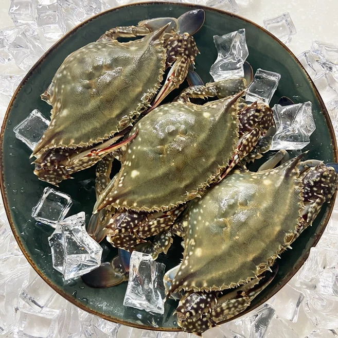 인기있는 제철 꽃게 1kg 2kg 3kg 가을 추천해요